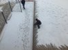 IMG_4285.jpg
