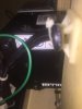 IMG_2533-09-02-17-03-28.jpeg