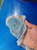 IMG-20170818-WA0022.jpg