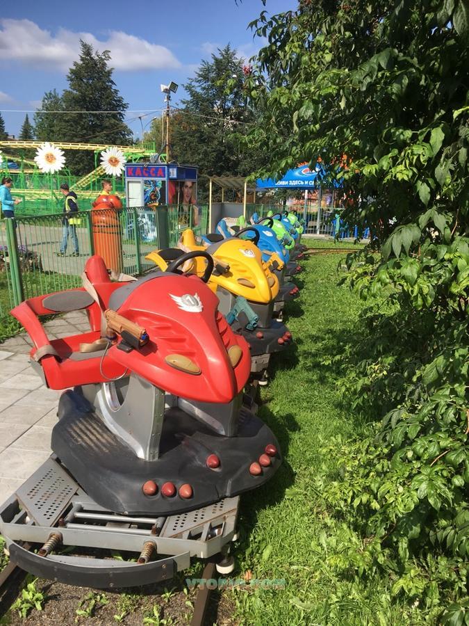 Сафари с животными аттракцион. Аттракционы в сафари парке в краснодаре. Аттракцион “тир “веселое путешествие. Аттракцион сафари. Набережные челны парк аттракционов гэс.